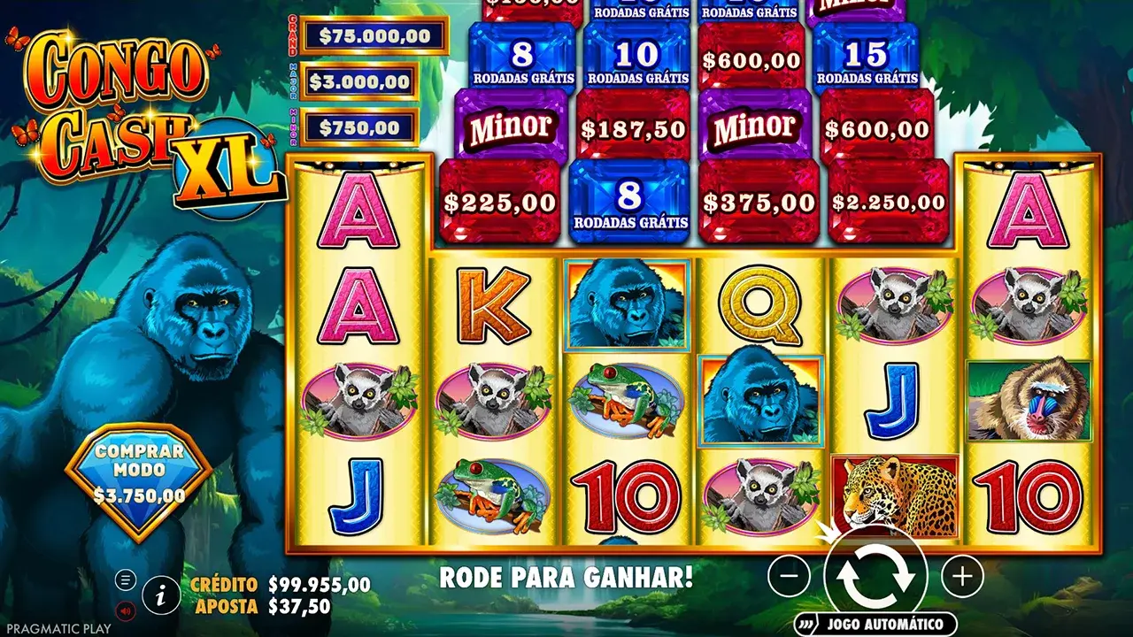Congo Cash XL